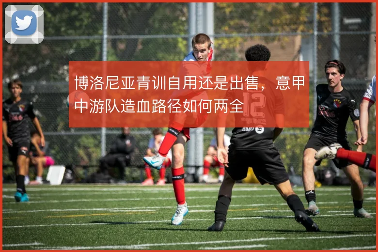博洛尼亚青训自用还是出售，意甲中游队造血路径如何两全
