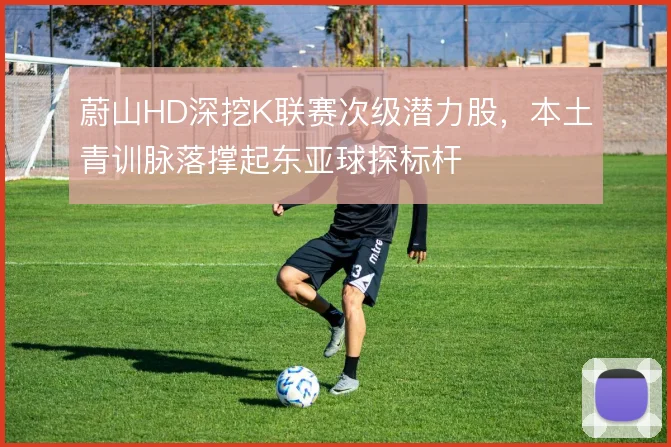 蔚山HD深挖K联赛次级潜力股,本土青训脉落撑起东亚球探标杆